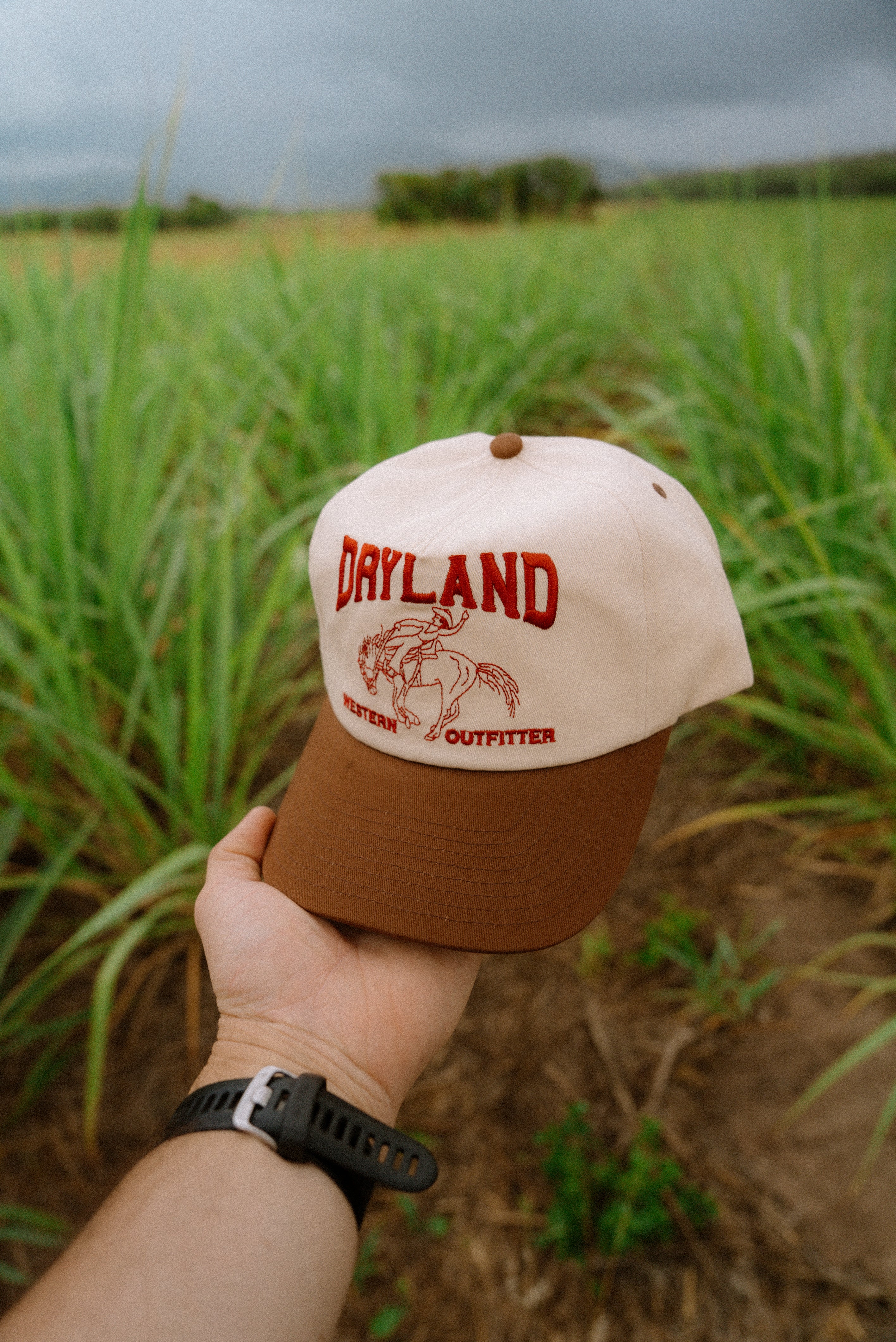 Western Outfitter Snapback